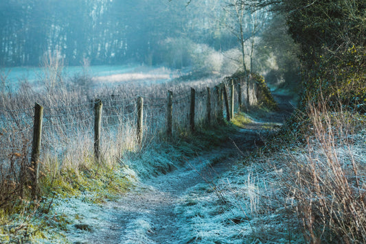 Bedfordshire Treasure Hunt Green Route