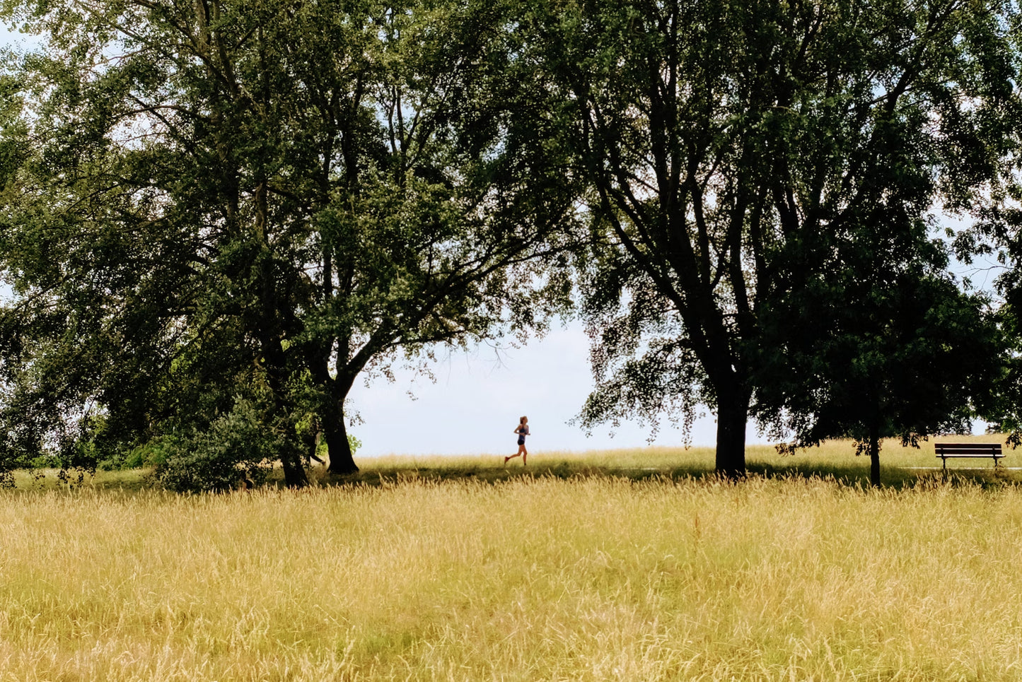 Hampstead Heath London Schatzsuche