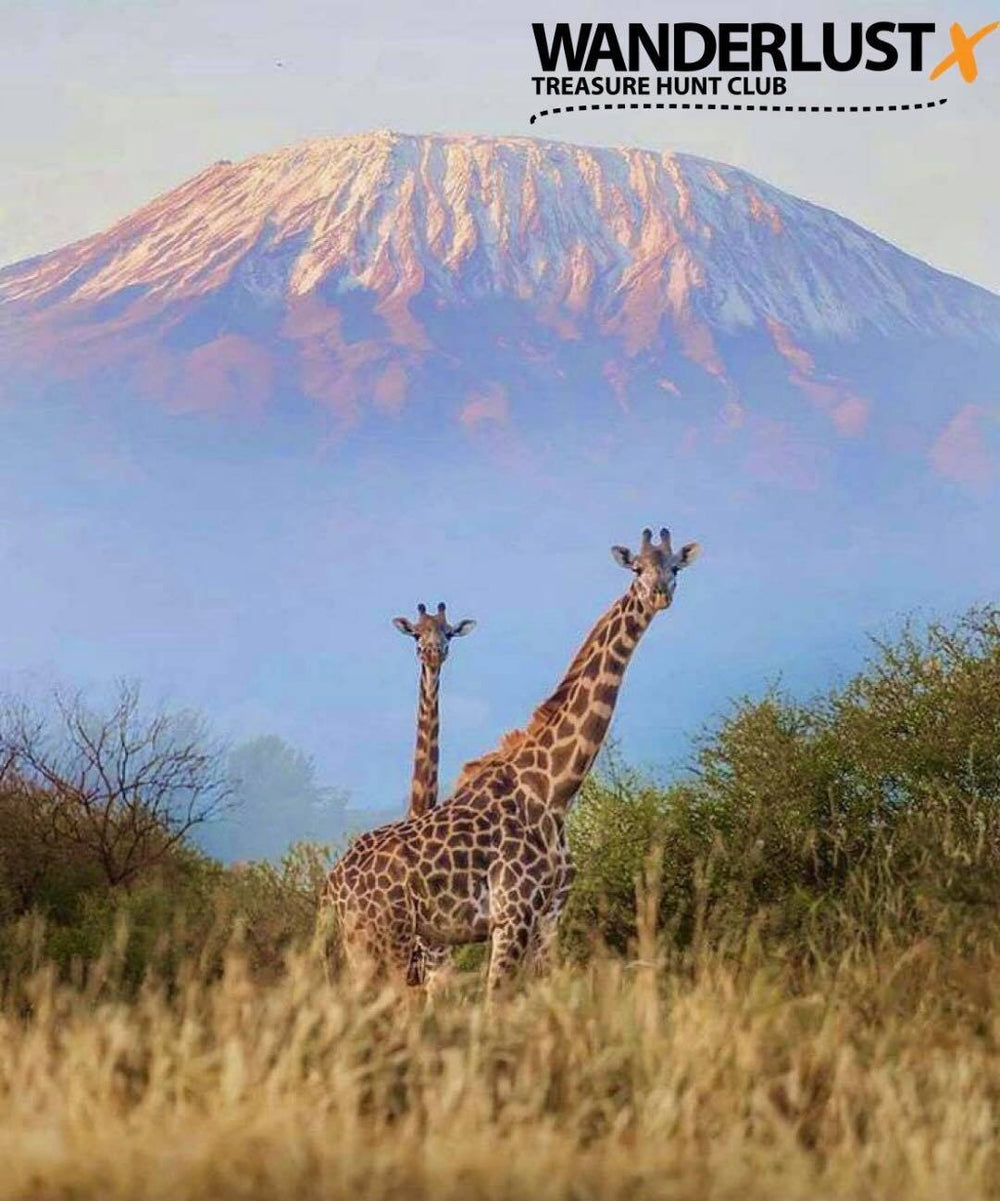 Missing travelling and exploring the...