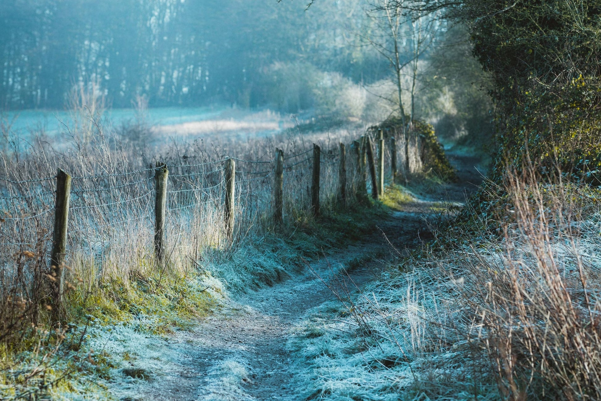 Bedfordshire Green treasure hunt with real treasure – explore the area and solve clues