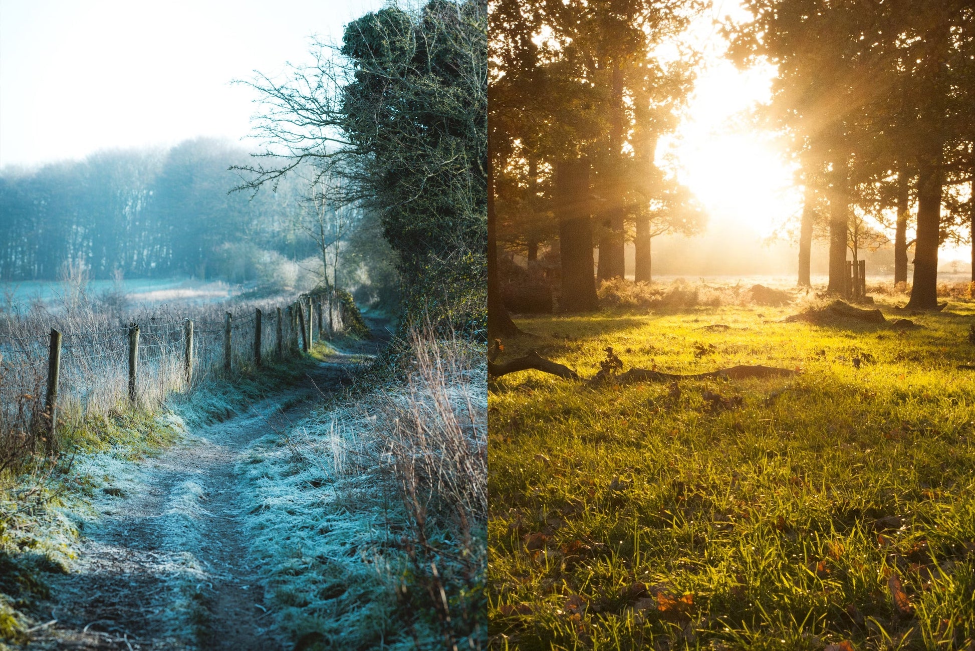 Bedfordshire Rural Race treasure hunt with real treasure – explore the area and solve clues