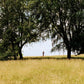 Hampstead Heath London treasure hunt with real treasure – explore the area and solve clues