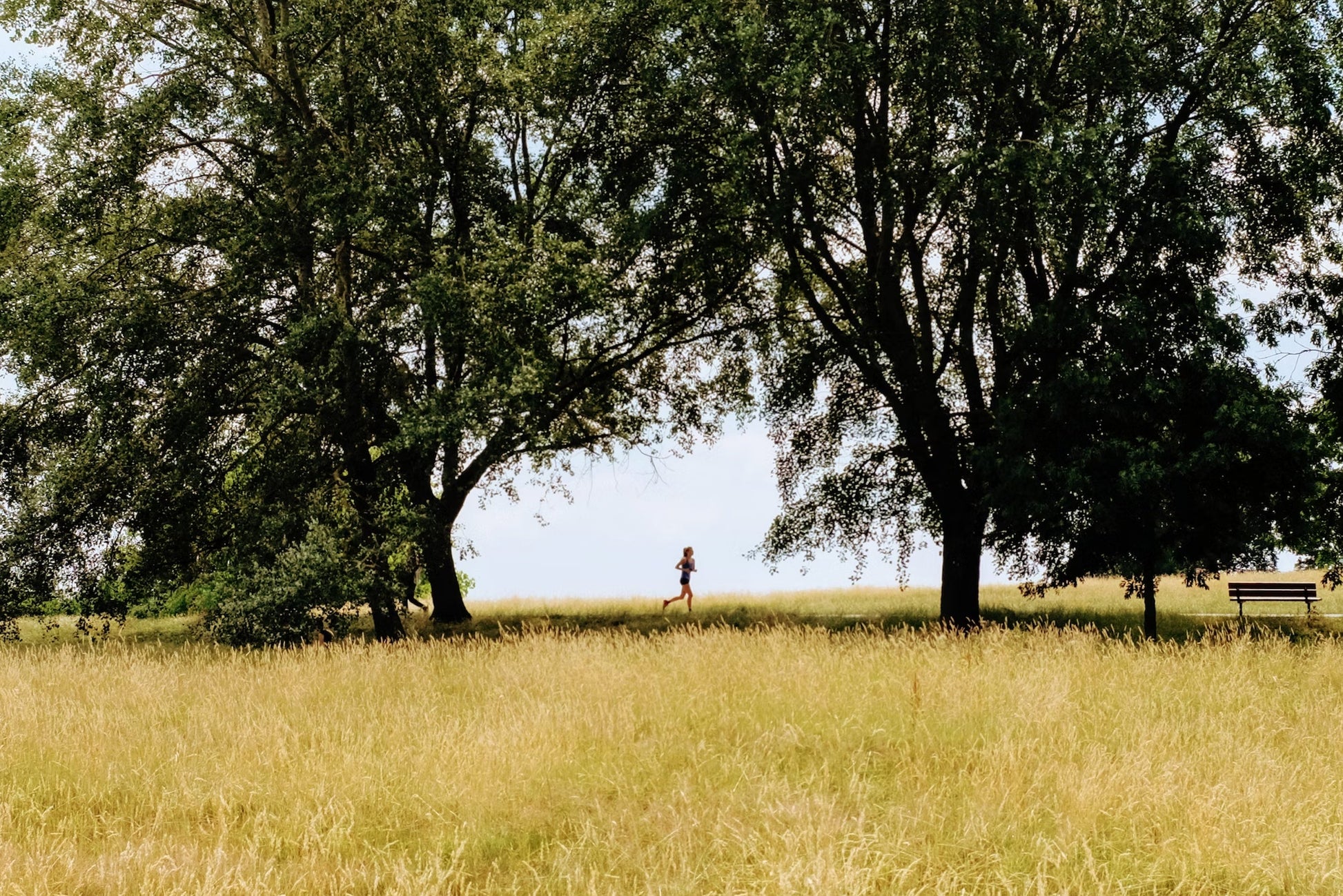 Hampstead Heath London treasure hunt with real treasure – explore the area and solve clues