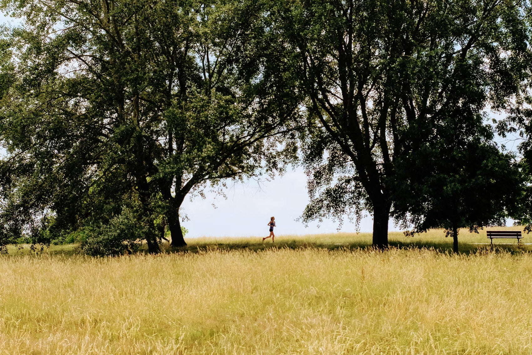 Hampstead Heath London Treasure Hunt